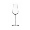 Essence Plus Champagne Glass, Set of 2, by Iittala Tableware Iittala   