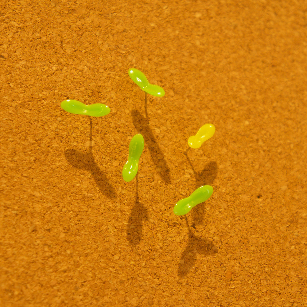 Green Pin Push-Pins by +d Push Pin +d