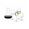 Essence Plus Champagne Glass, Set of 2, by Iittala Tableware Iittala