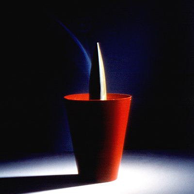 Joe Cactus Ashtray by Alessi Ashtrays Alessi